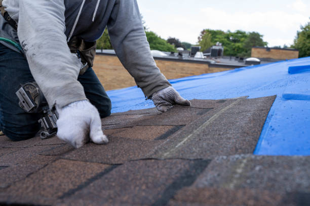 Best Local Roofing Companies  in Ashland, NE